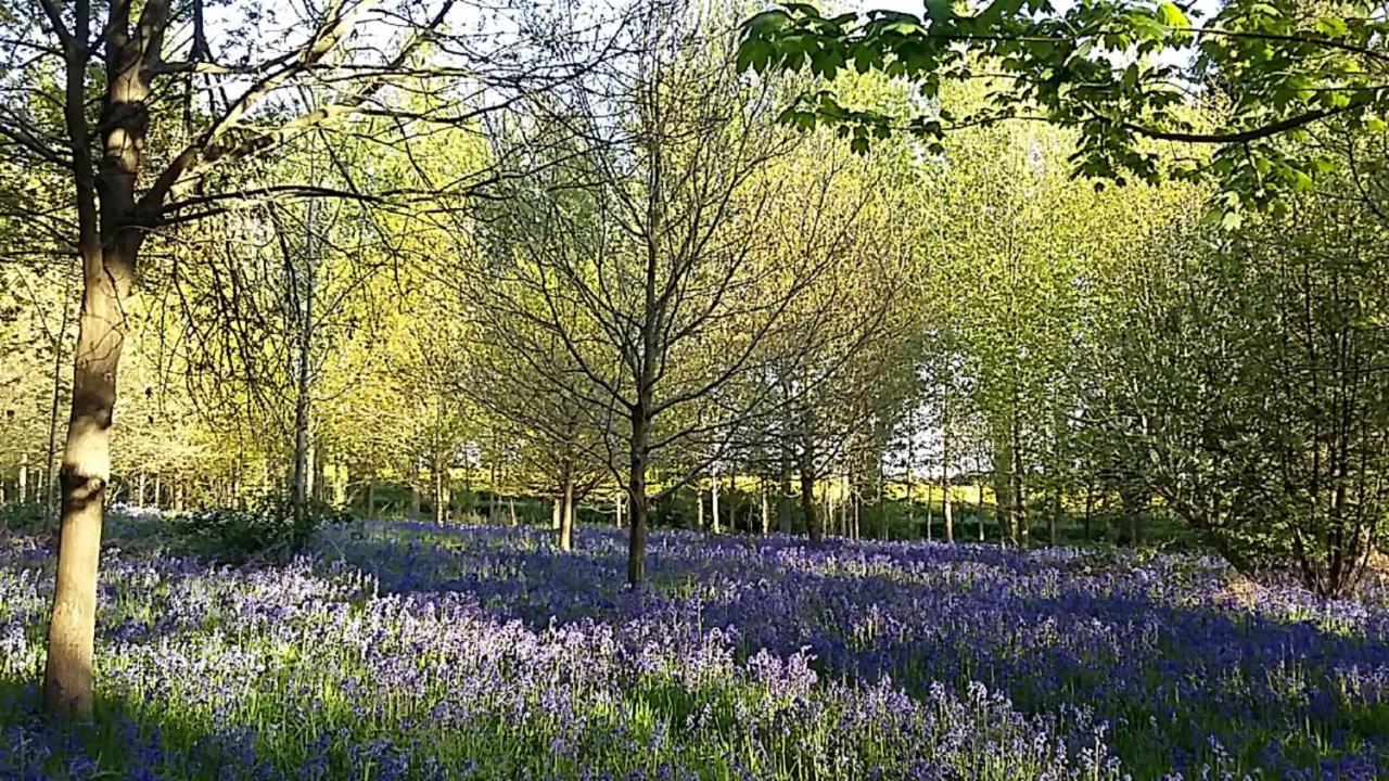 Hollicarrs - Long Lane Lodge York Eksteriør billede